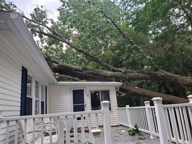 J. Bonin Tree Services, LLC verified work photo
