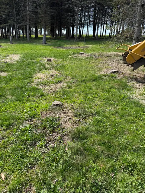 Tri-Son Stump Grinding researched project photo