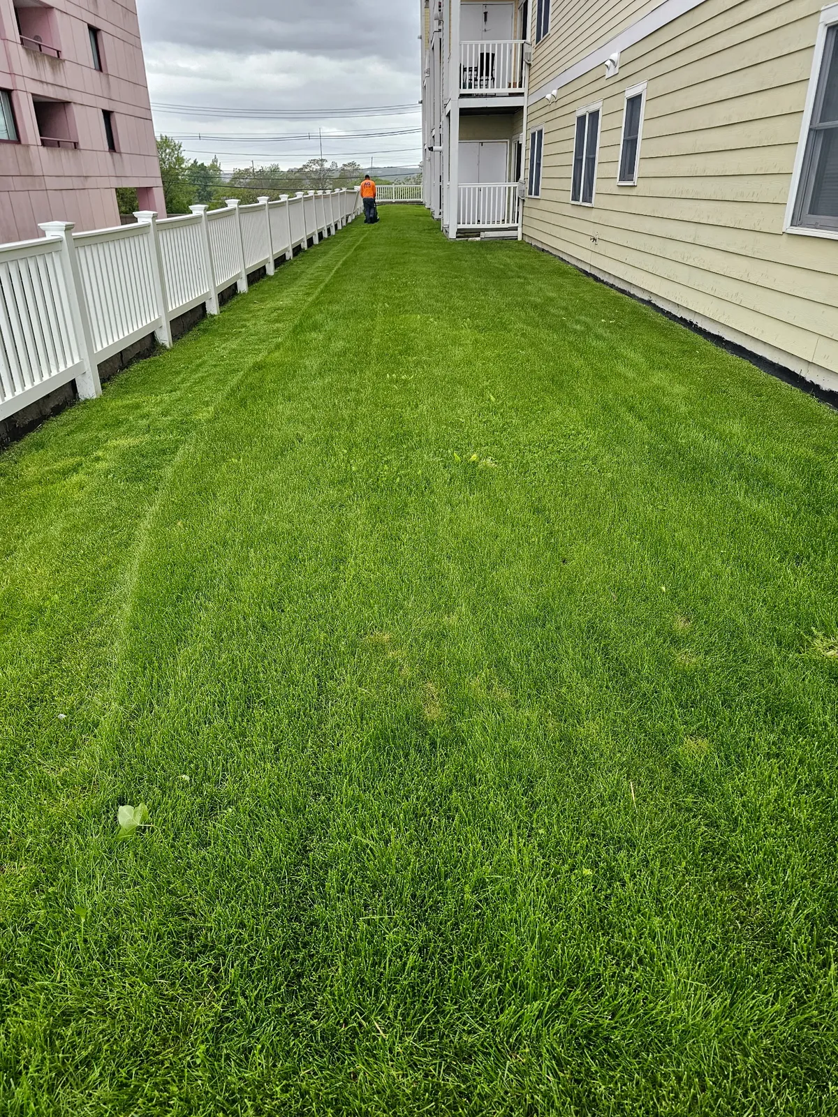 AG Landscaping and patios inc