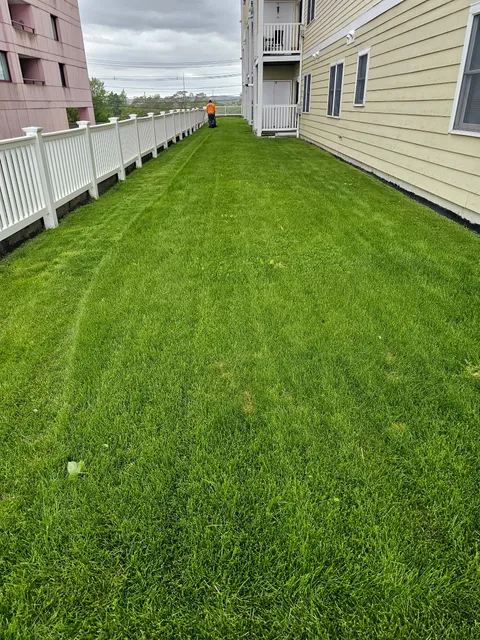 AG Landscaping and patios inc