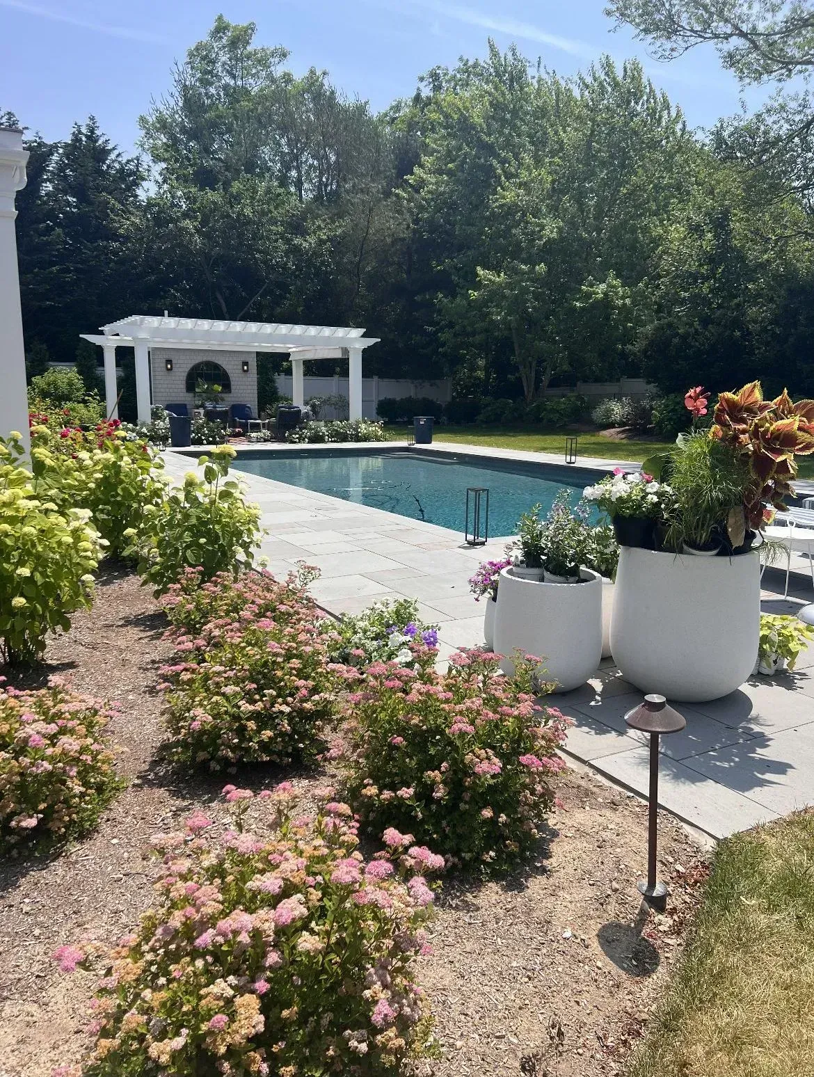 Garden patio with a swimming pool, white pergola, potted flowers, and lush greenery on a sunny day