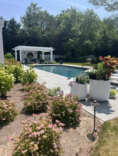 Garden patio with a swimming pool, white pergola, potted flowers, and lush greenery on a sunny day