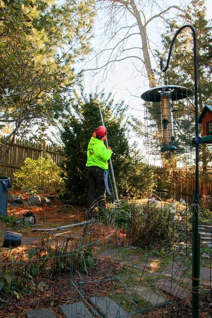 work photo from pathfindertreeservice.com