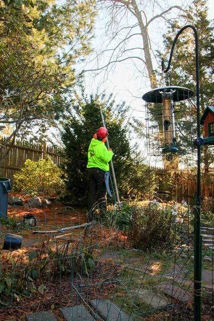 work photo from pathfindertreeservice.com