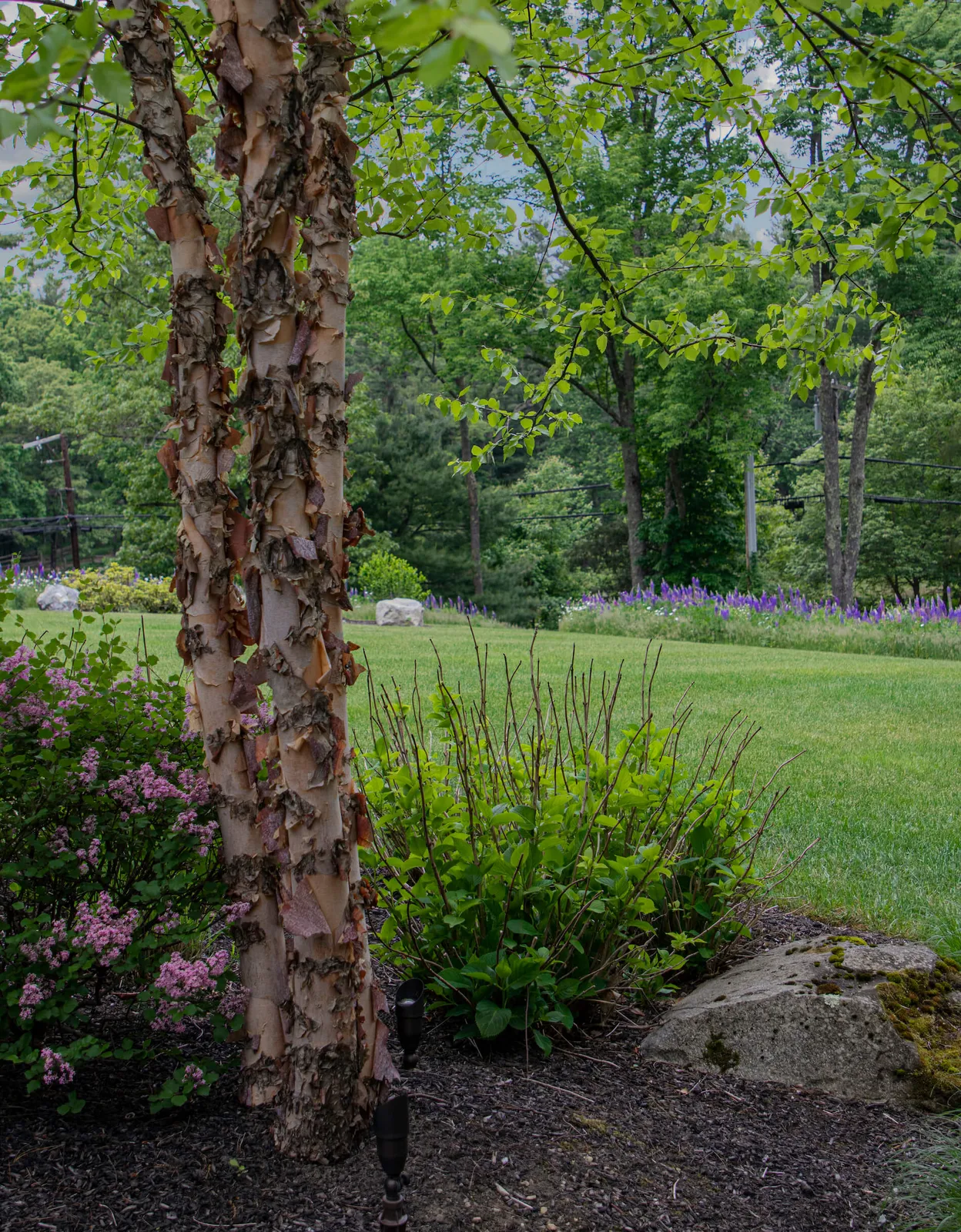 work photo from tjcollinslandscaping.com