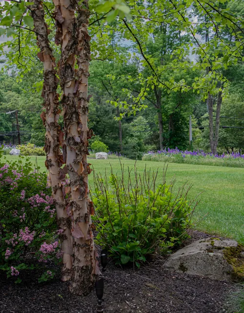 work photo from tjcollinslandscaping.com