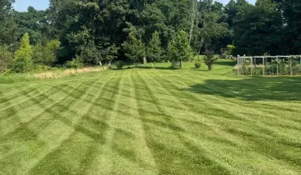 Landscape Design
