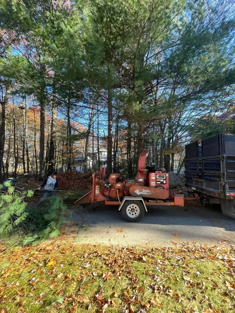 work photo from martineztreework.com