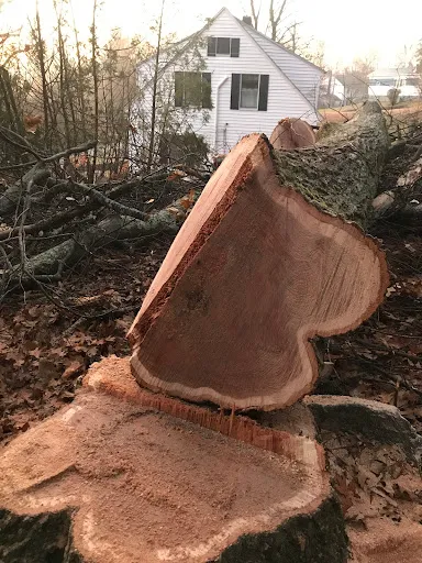 Review photo by John Rauscher