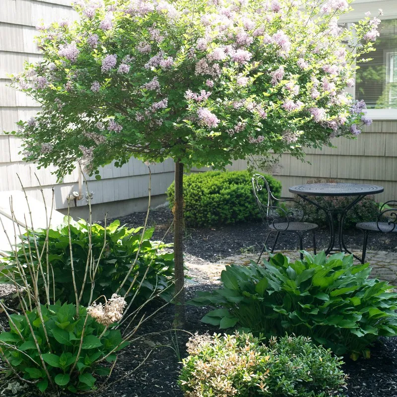 work photo from rb-landscaping.com