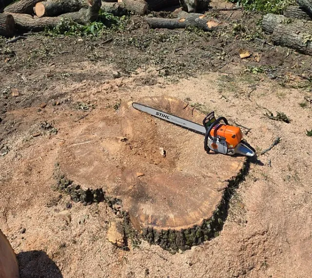 AJ's Tree work photo