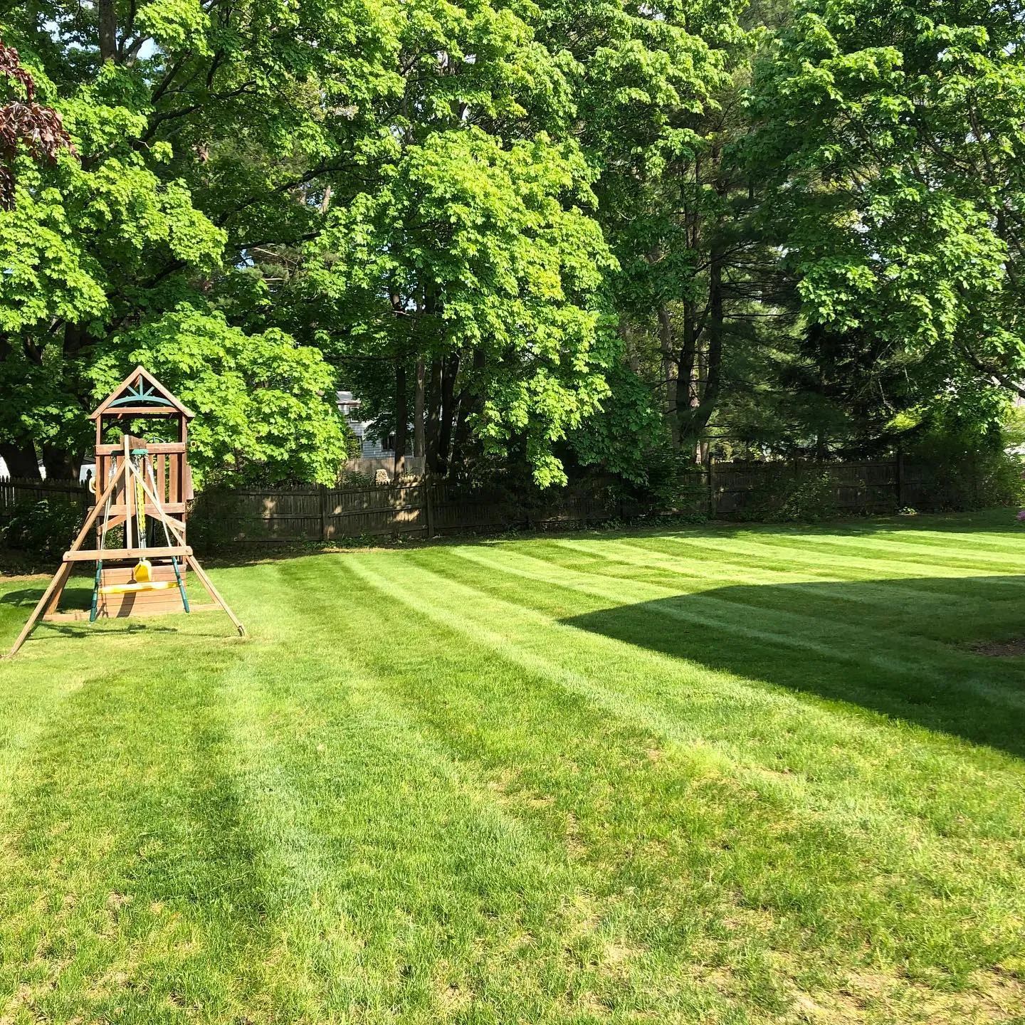 Striped lawn around a backyard play structure