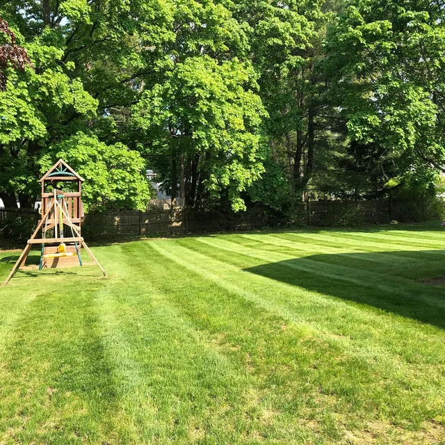 Striped lawn around a backyard play structure