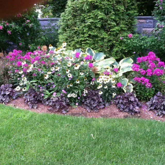 D & L Plant Care work photo