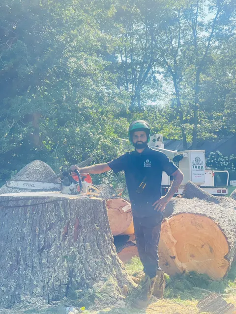 TAKA Tree Landscape work photo