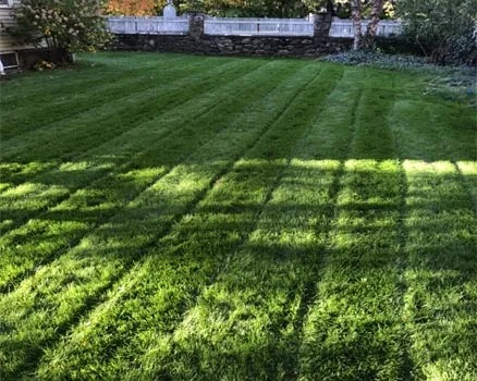 work photo from palandjianlandscaping.com