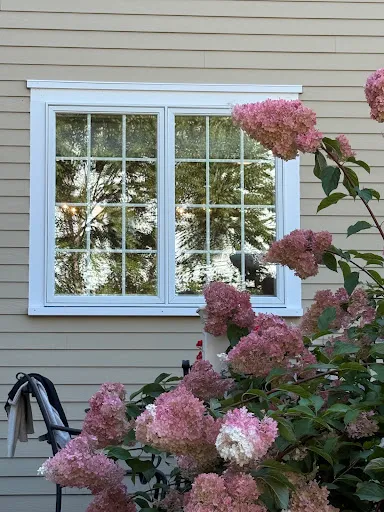Full Clarity Window Washing work photo