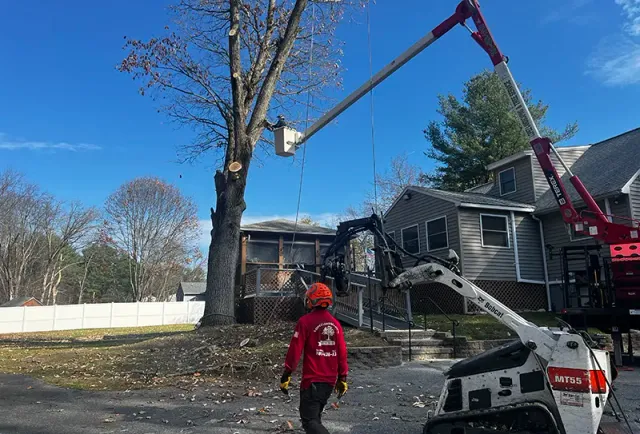 work photo from lopeztreeservices.com