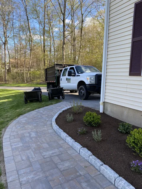 work photo from plantdesigntherapy.com