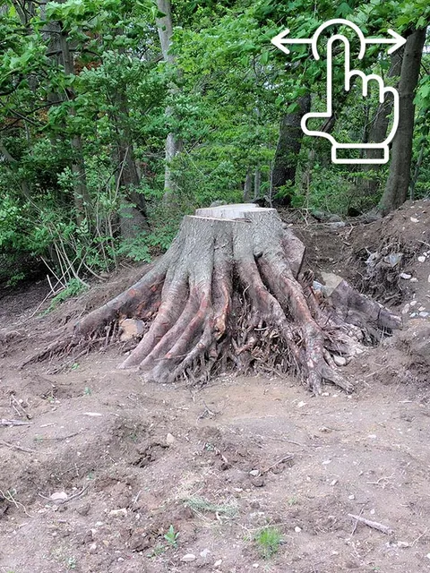 work photo from akandsontree.com