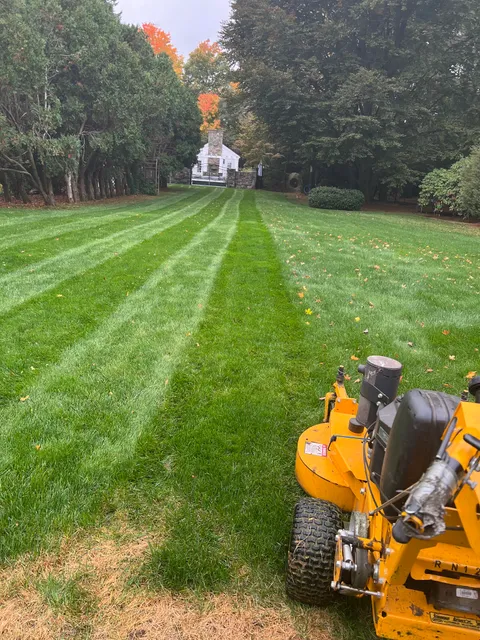 Ramirez Hardscapes & Tree Service work photo