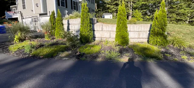 A landscaped garden with a stone retaining wall, green shrubs, small trees, and plants in front of a house with white siding and black shutters.