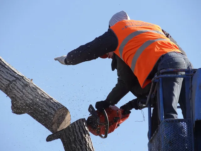 Tree trunk chopping from a crane