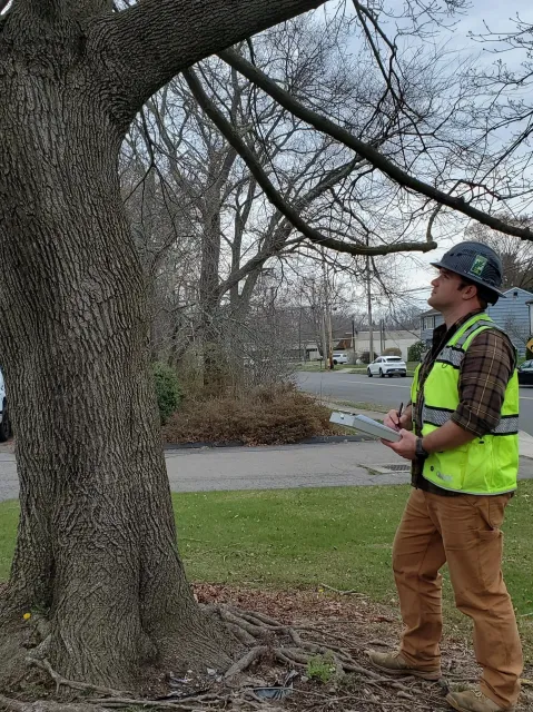 A man wearing a hard hat and a high-visibility safety vest is standing outdoors on a sidewalk near a large tree with a thick trunk. He is holding a clipboard and appears to be inspecting or surveying the tree. The background shows a residential neighborhood with houses, parked cars, and power lines under a cloudy sky.