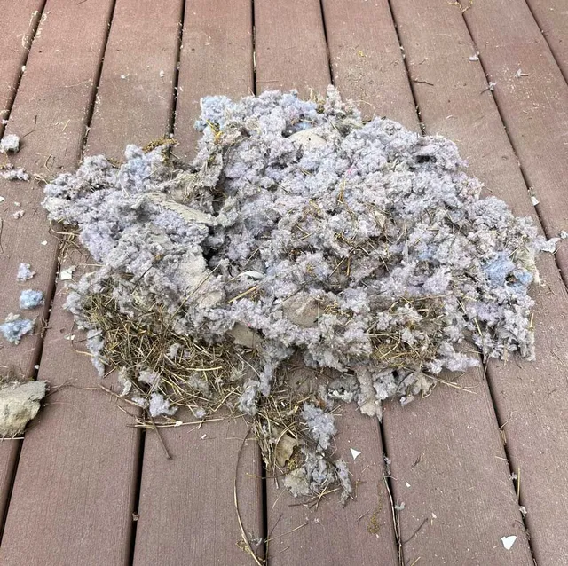 A pile of dust is laying on a wooden deck.