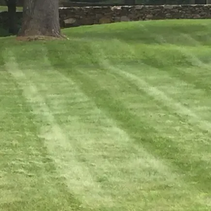 work photo from caneparislandscaping.com