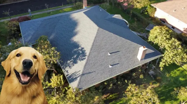 Residential Roof Repair Services