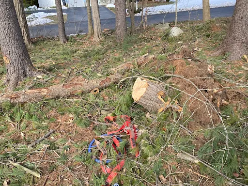 Review photo by Jaime Marenco