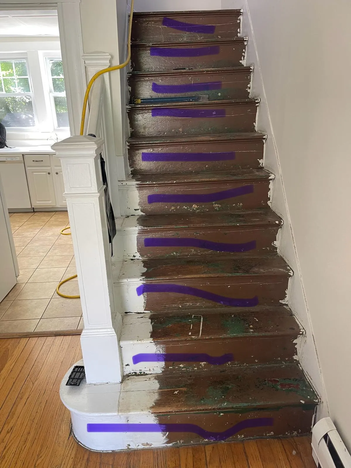 Dream Floor Sanding