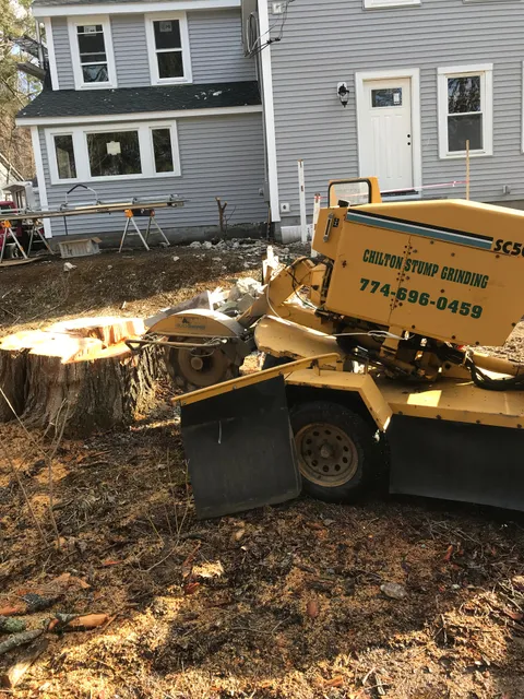 Chilton Stumpgrinding work photo