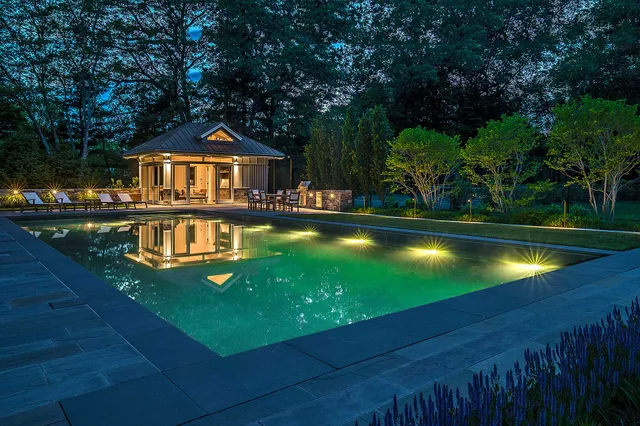 Meadow Lark Pool