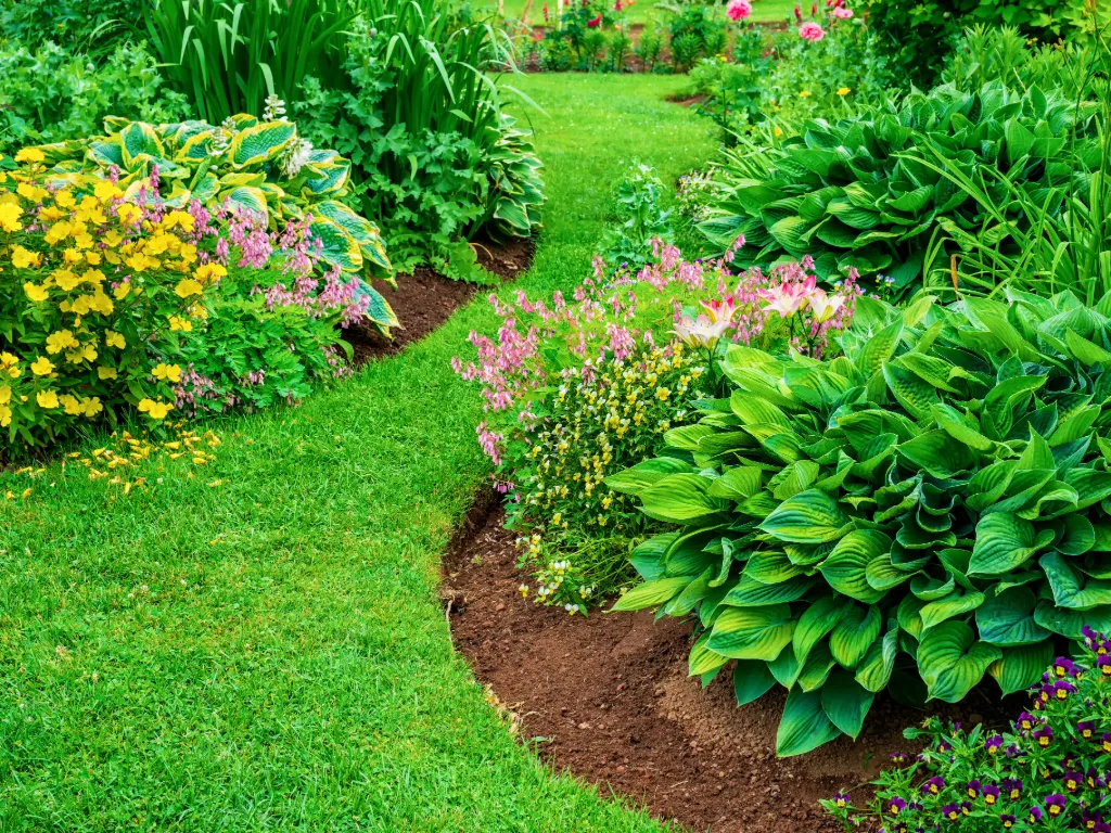 bed weed and vegetation control in MA