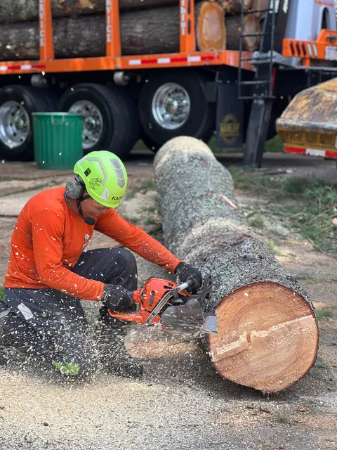 work photo from walnuttreeservice.com