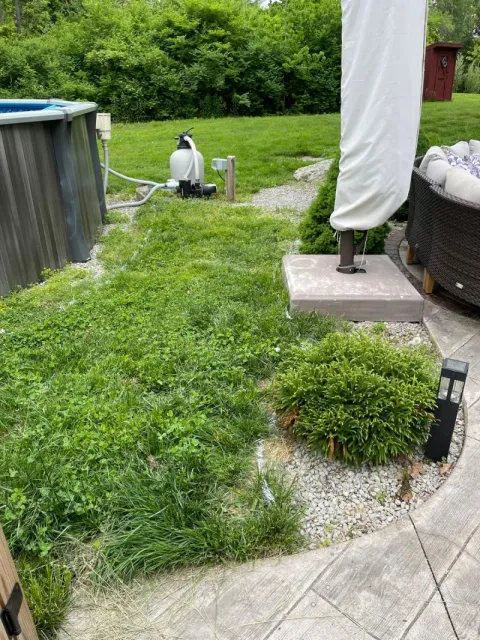 Before - lawn 5