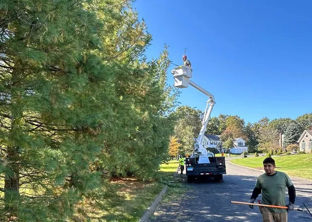 work photo from evergreenlawnandlandscape.com