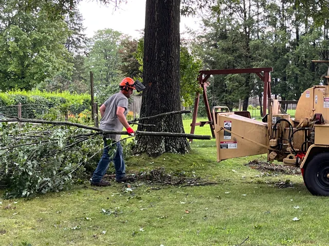 Taylors tree and landscape work photo
