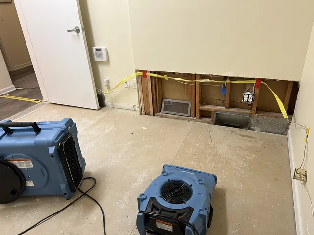Thorough Restoration work photo