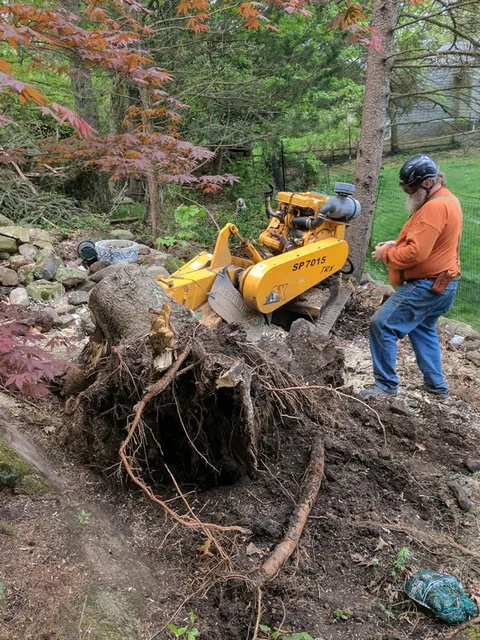 work photo from akandsontree.com