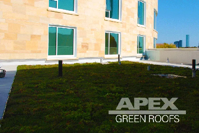 Apex Green Roofs researched project photo