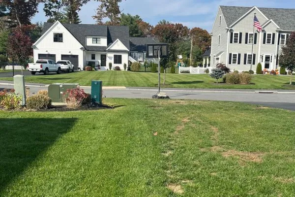 Soldevilla Lawn & Landscape