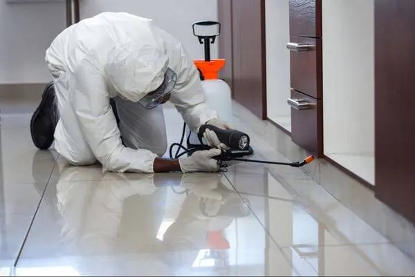 Pest Control Greenfield MA technician