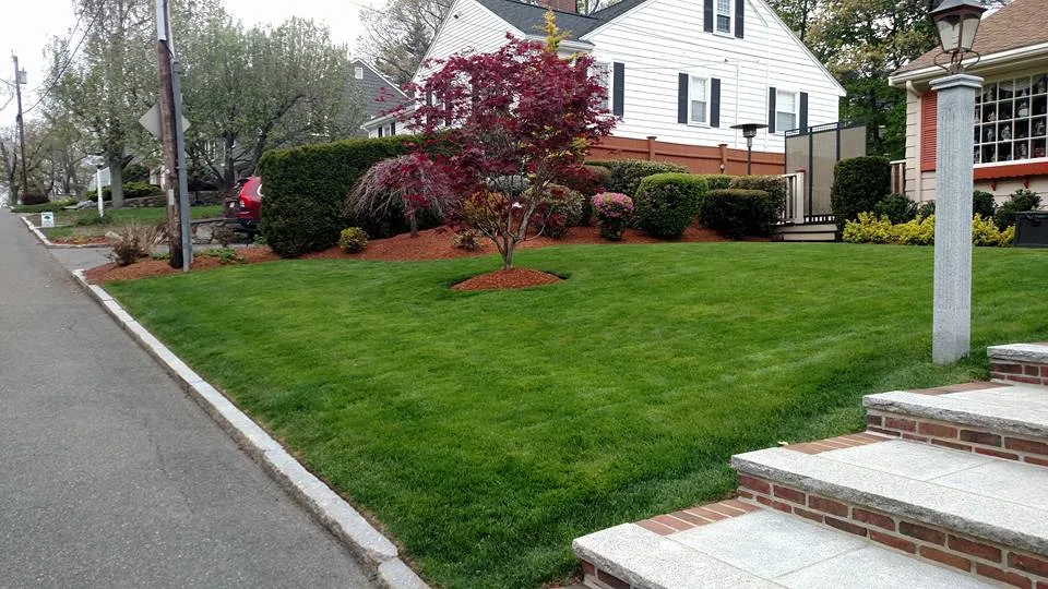 work photo from maslandscaping.com