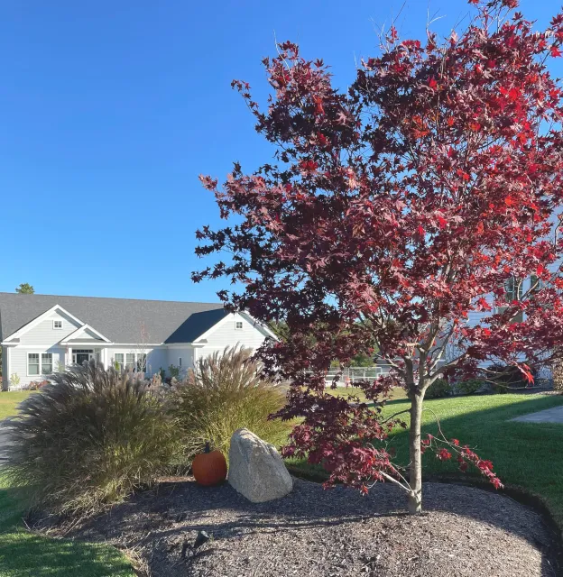 Donnelly Landscaping work photo