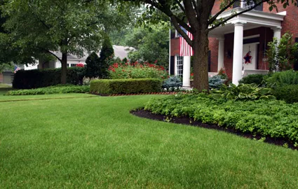 ELECTROCUT LAWN CARE PHILOSOPHY