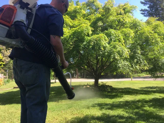 work photo from masontreeservice.com
