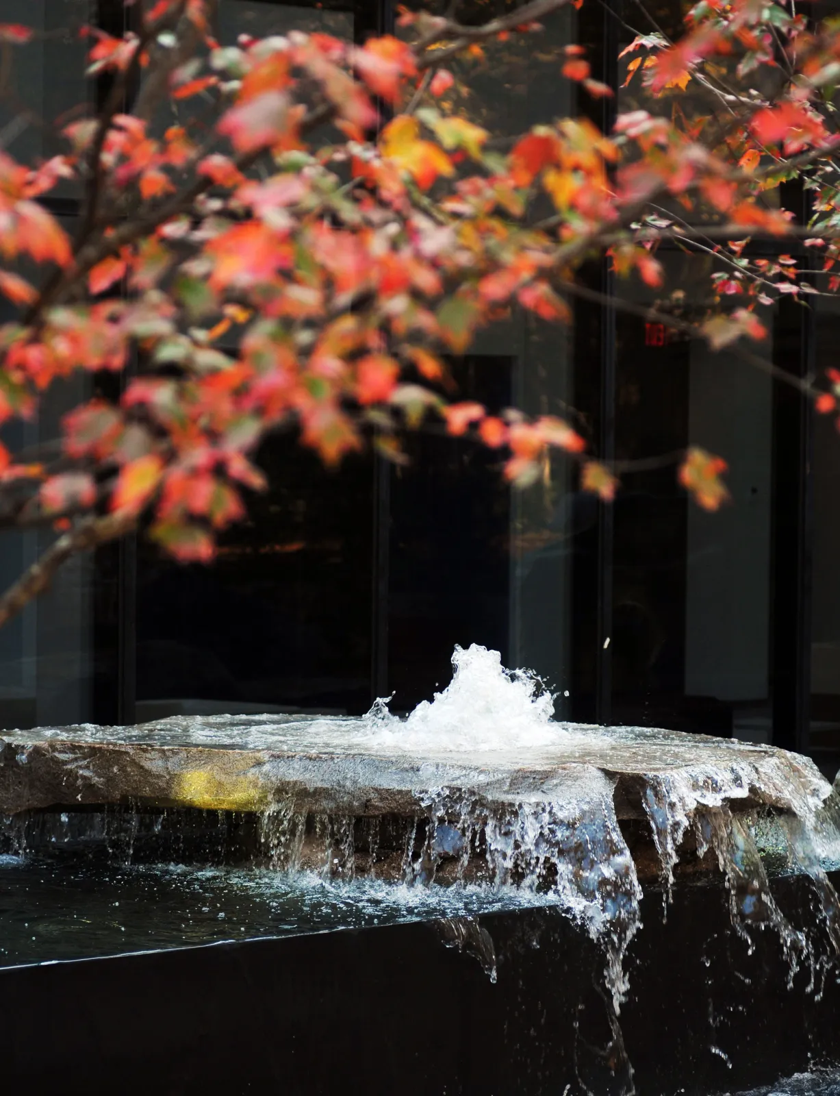 Landscape architects and designers Sherborn Massachusetts Phippsburg Maine